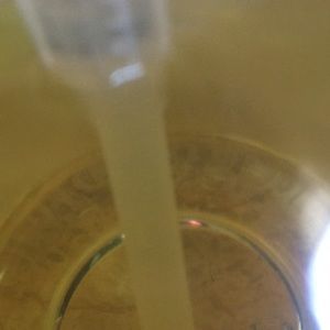 Meet your Posher, Lela